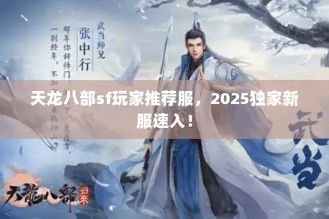 天龙八部sf玩家推荐服，2025独家新服速入！