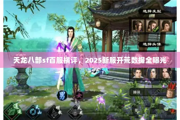 天龙八部sf百服横评,2025新服开荒数据全曝光 天龙八部sf百服横评,2025新服开荒数据全曝光
