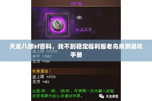 天龙八部sf百科，找不到稳定福利服老鸟亲测避坑手册