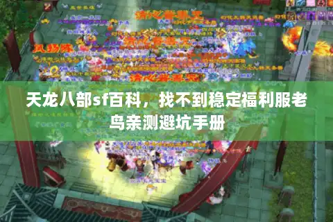 天龙八部sf百科，找不到稳定福利服老鸟亲测避坑手册