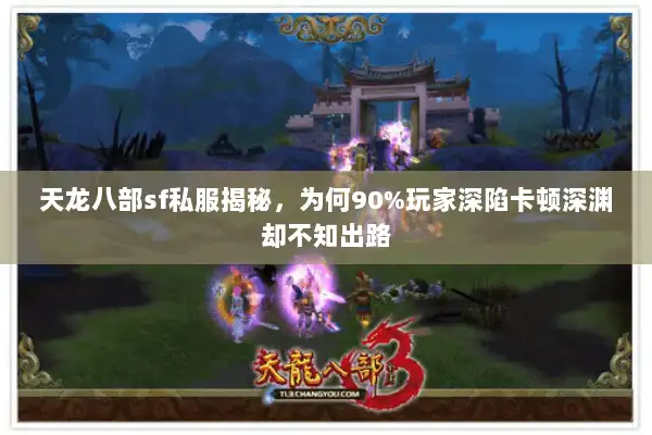 天龙八部sf私服揭秘，为何90%玩家深陷卡顿深渊却不知出路