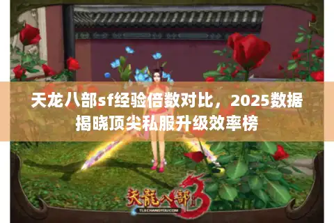 天龙八部sf经验倍数对比，2025数据揭晓顶尖私服升级效率榜