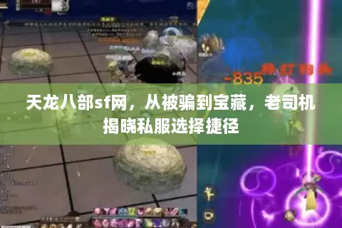 天龙八部sf网，从被骗到宝藏，老司机揭晓私服选择捷径
