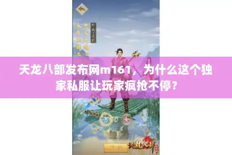 天龙八部发布网m161，为什么这个独家私服让玩家疯抢不停？