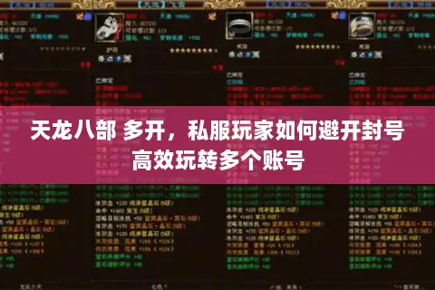 天龙八部 多开，私服玩家如何避开封号高效玩转多个账号