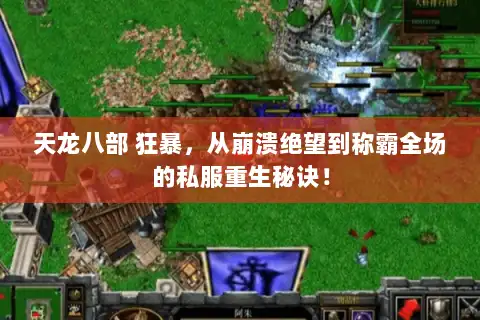 天龙八部 狂暴，从崩溃绝望到称霸全场的私服重生秘诀！