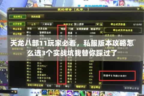 天龙八部11玩家必看,私服版本攻略怎么选3个实战坑我替你踩过了 天龙八部11玩家必看,私服版本攻略怎么选3个实战坑我替你踩过了