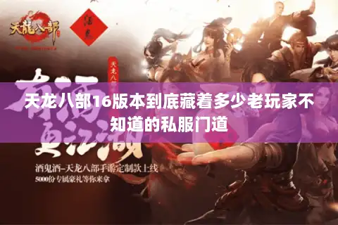 天龙八部16版本到底藏着多少老玩家不知道的私服门道 天龙八部16版本到底藏着多少老玩家不知道的私服门道