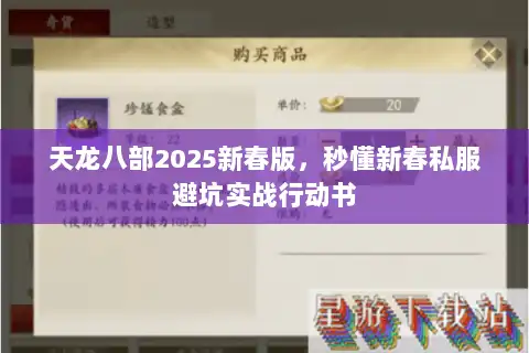 天龙八部2025新春版，秒懂新春私服避坑实战行动书