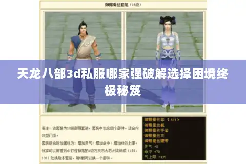 天龙八部3d私服哪家强破解选择困境终极秘笈