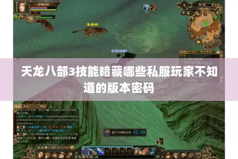 天龙八部3技能暗藏哪些私服玩家不知道的版本密码
