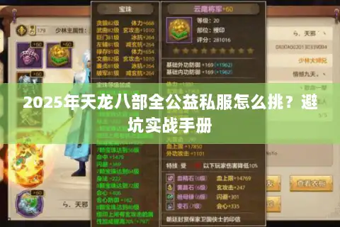 2025年天龙八部全公益私服怎么挑？避坑实战手册