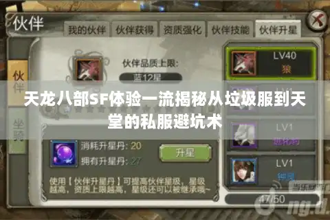 天龙八部SF体验一流揭秘从垃圾服到天堂的私服避坑术
