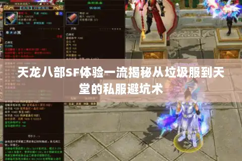 天龙八部SF体验一流揭秘从垃圾服到天堂的私服避坑术