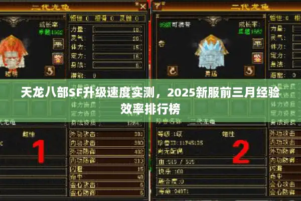 天龙八部SF升级速度实测,2025新服前三月经验效率排行榜 天龙八部SF升级速度实测,2025新服前三月经验效率排行榜