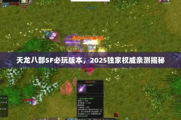 天龙八部SF必玩版本，2025独家权威亲测揭秘
