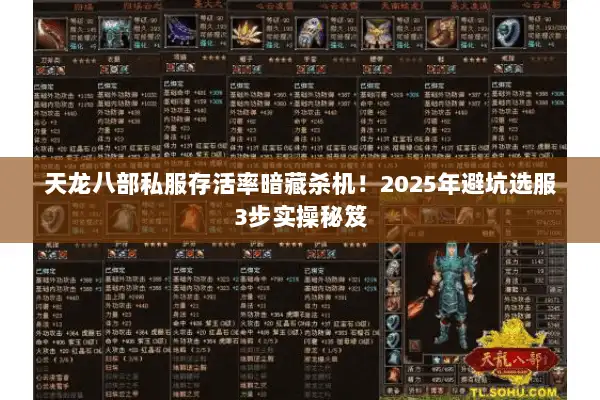 天龙八部私服存活率暗藏杀机！2025年避坑选服3步实操秘笈