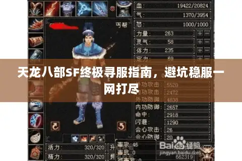 天龙八部SF终极寻服指南,避坑稳服一网打尽 天龙八部SF终极寻服指南,避坑稳服一网打尽