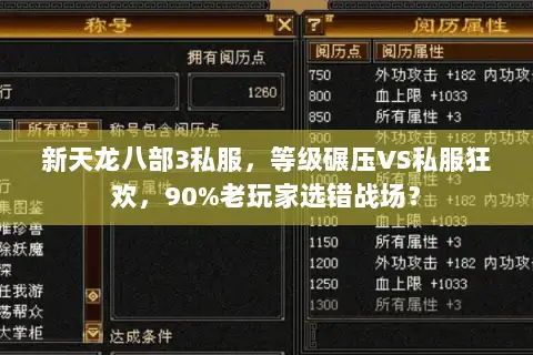 新天龙八部3私服，等级碾压VS私服狂欢，90%老玩家选错战场？