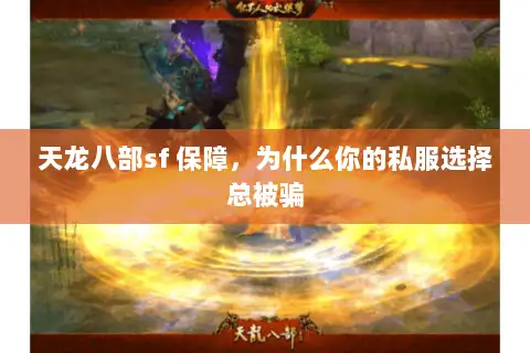 天龙八部sf 保障，为什么你的私服选择总被骗