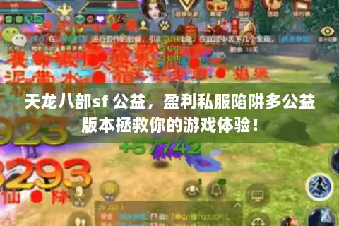 天龙八部sf 公益，盈利私服陷阱多公益版本拯救你的游戏体验！