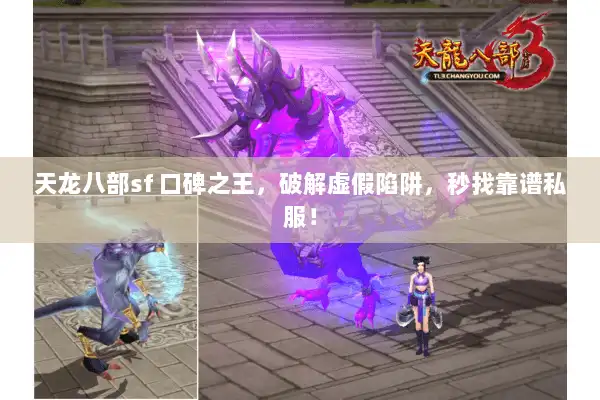 天龙八部sf 口碑之王，破解虚假陷阱，秒找靠谱私服！