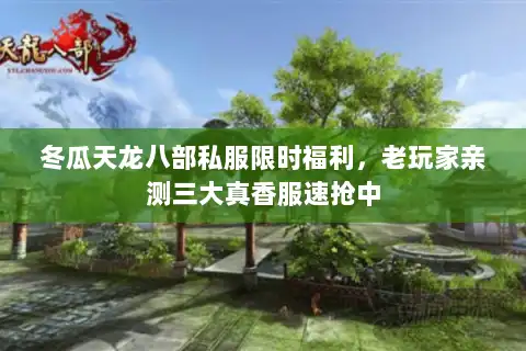 冬瓜天龙八部私服限时福利，老玩家亲测三大真香服速抢中