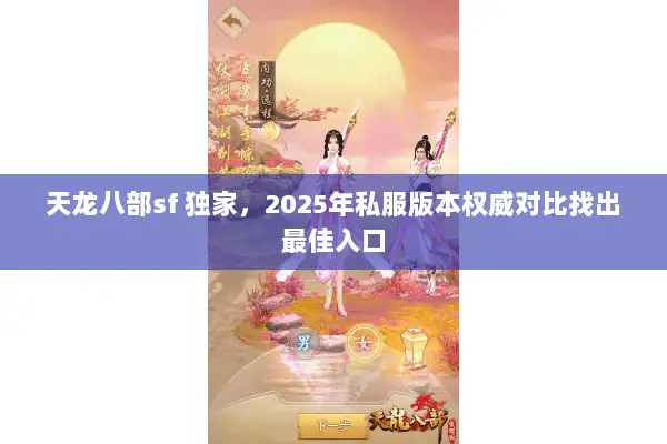 天龙八部sf 独家，2025年私服版本权威对比找出最佳入口