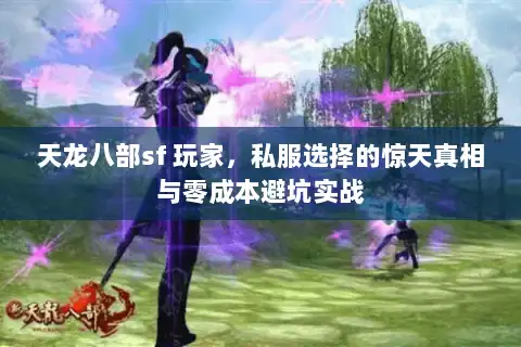 天龙八部sf 玩家，私服选择的惊天真相与零成本避坑实战