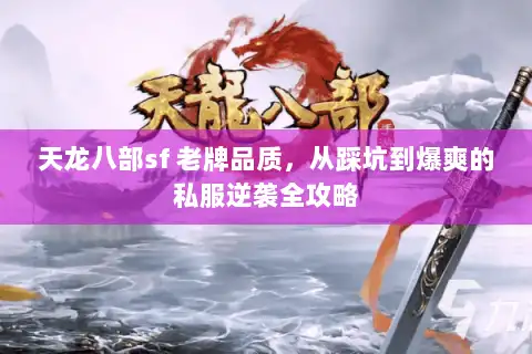 天龙八部sf 老牌品质，从踩坑到爆爽的私服逆袭全攻略