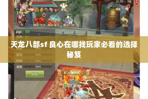 天龙八部sf 良心在哪找玩家必看的选择秘笈