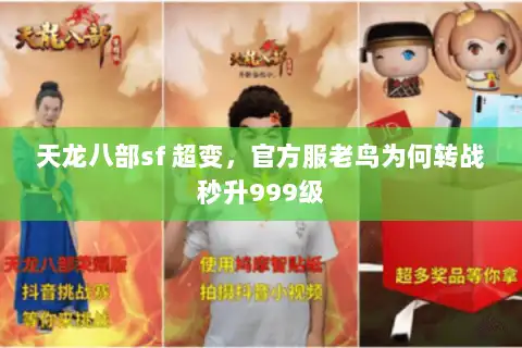 天龙八部sf 超变，官方服老鸟为何转战秒升999级