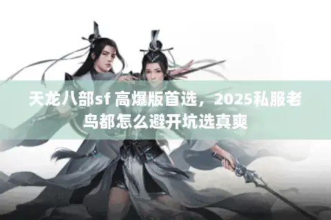 天龙八部sf 高爆版首选，2025私服老鸟都怎么避开坑选真爽