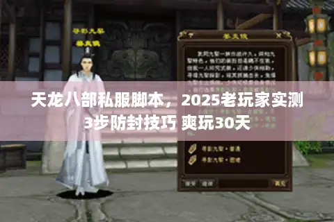 天龙八部私服脚本，2025老玩家实测3步防封技巧 爽玩30天