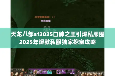 天龙八部sf2025口碑之王引爆私服圈2025年爆款私服独家挖宝攻略 天龙八部sf2025口碑之王引爆私服圈2025年爆款私服独家挖宝攻略