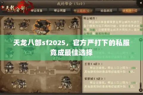 天龙八部sf2025,官方严打下的私服竟成最佳选择 天龙八部sf2025,官方严打下的私服竟成最佳选择