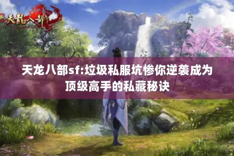 天龙八部sf:垃圾私服坑惨你逆袭成为顶级高手的私藏秘诀