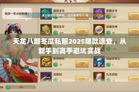 天龙八部冬瓜私服2025爆款速查，从新手到高手避坑实战