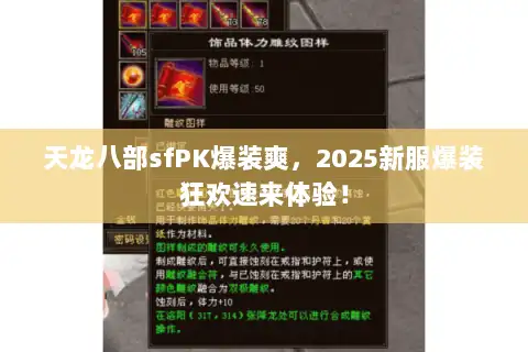 天龙八部sfPK爆装爽，2025新服爆装狂欢速来体验！