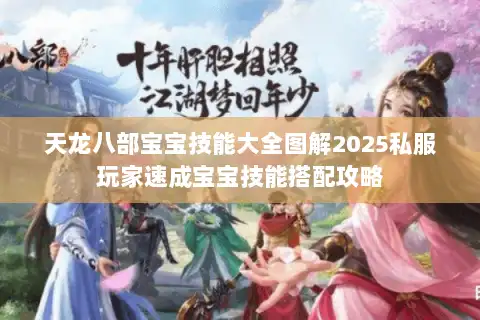 天龙八部宝宝技能大全图解2025私服玩家速成宝宝技能搭配攻略