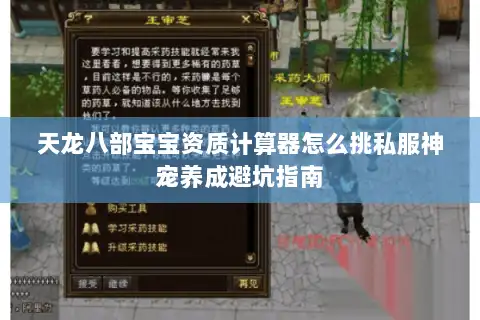 天龙八部宝宝资质计算器怎么挑私服神宠养成避坑指南 天龙八部宝宝资质计算器怎么挑私服神宠养成避坑指南
