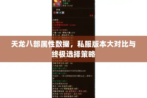 天龙八部属性数据，私服版本大对比与终极选择策略
