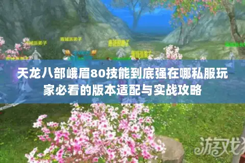 天龙八部峨眉80技能到底强在哪私服玩家必看的版本适配与实战攻略 天龙八部峨眉80技能到底强在哪私服玩家必看的版本适配与实战攻略