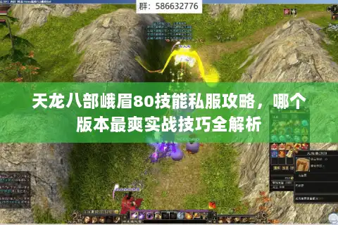 天龙八部峨眉80技能私服攻略，哪个版本最爽实战技巧全解析