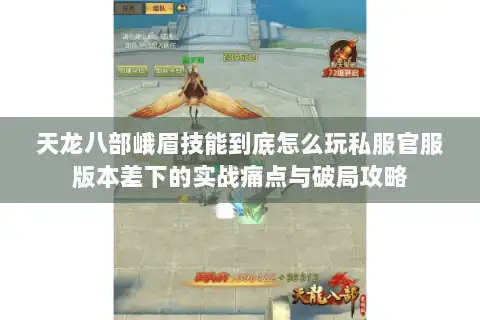 天龙八部峨眉技能到底怎么玩私服官服版本差下的实战痛点与破局攻略