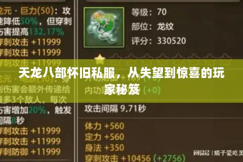 天龙八部怀旧私服，从失望到惊喜的玩家秘笈