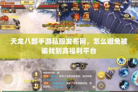 天龙八部手游私服发布网，怎么避免被骗找到高福利平台