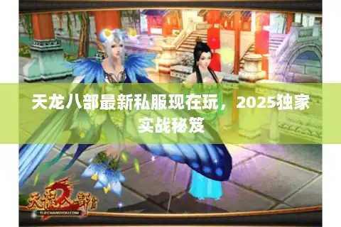 天龙八部最新私服现在玩,2025独家实战秘笈 天龙八部最新私服现在玩,2025独家实战秘笈