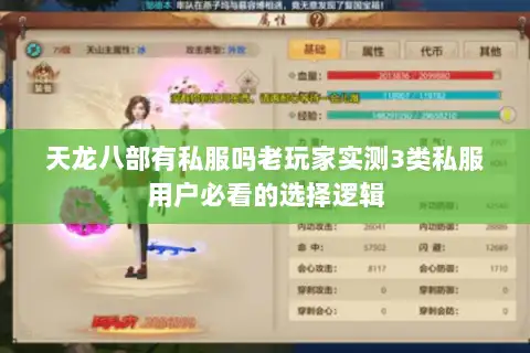 天龙八部有私服吗老玩家实测3类私服用户必看的选择逻辑