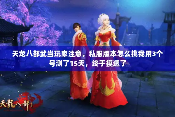 天龙八部武当玩家注意,私服版本怎么挑我用3个号测了15天,终于摸透了 天龙八部武当玩家注意,私服版本怎么挑我用3个号测了15天,终于摸透了